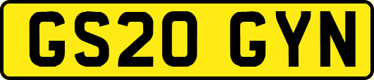 GS20GYN