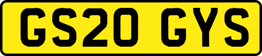 GS20GYS