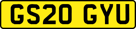 GS20GYU