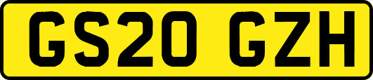GS20GZH