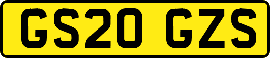 GS20GZS