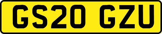 GS20GZU