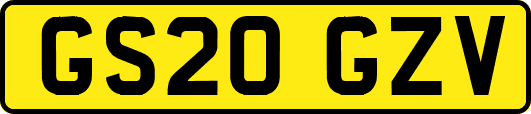 GS20GZV
