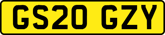 GS20GZY