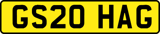 GS20HAG