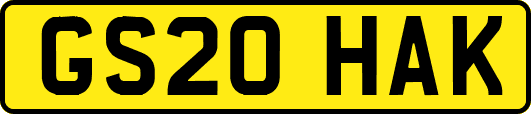GS20HAK