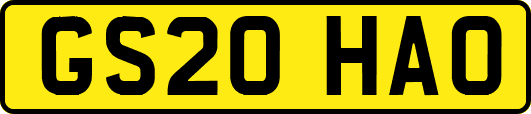 GS20HAO