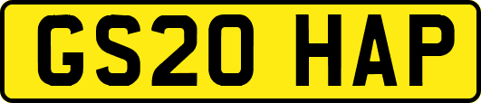 GS20HAP