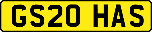 GS20HAS