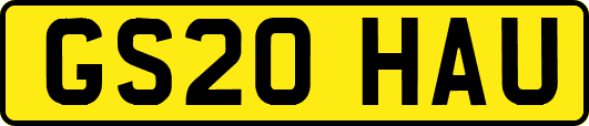 GS20HAU
