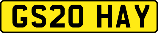 GS20HAY