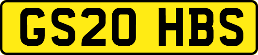 GS20HBS