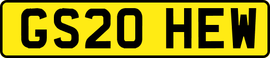 GS20HEW