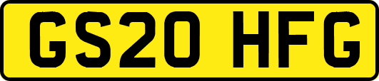 GS20HFG