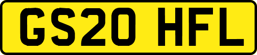 GS20HFL