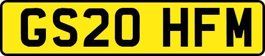 GS20HFM