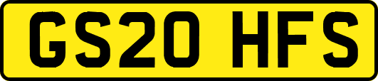 GS20HFS