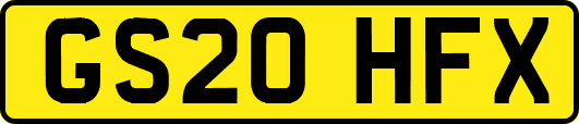 GS20HFX