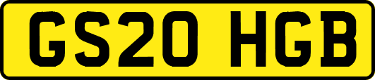 GS20HGB
