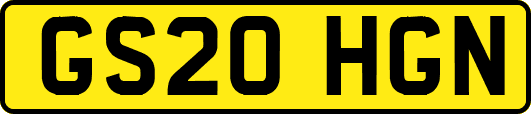GS20HGN