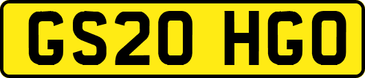 GS20HGO