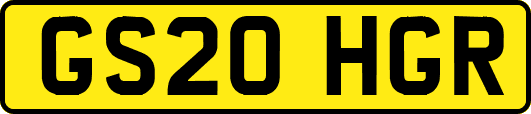 GS20HGR