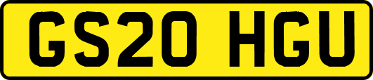 GS20HGU
