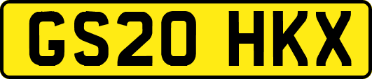 GS20HKX