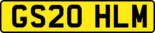 GS20HLM