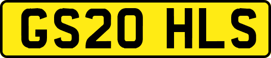 GS20HLS