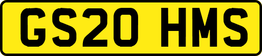 GS20HMS