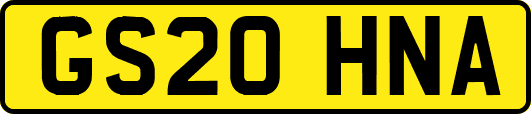 GS20HNA