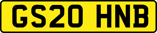 GS20HNB