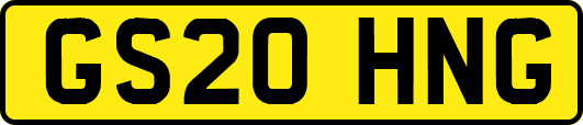GS20HNG
