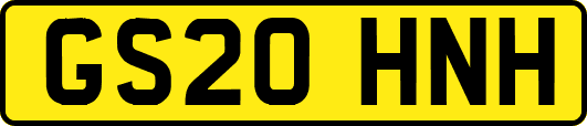 GS20HNH