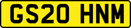 GS20HNM