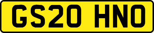 GS20HNO