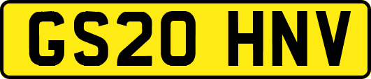 GS20HNV