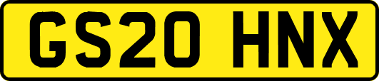 GS20HNX