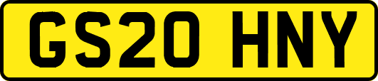 GS20HNY