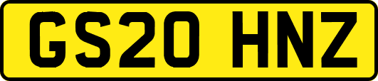 GS20HNZ