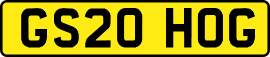 GS20HOG