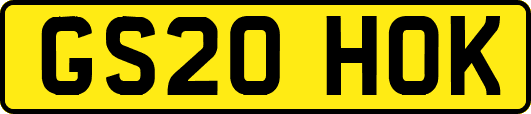 GS20HOK