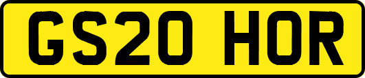 GS20HOR