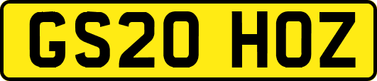 GS20HOZ