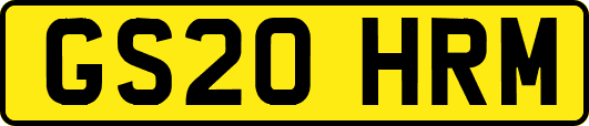 GS20HRM