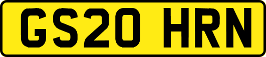 GS20HRN