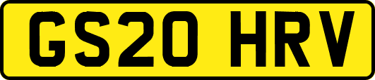GS20HRV
