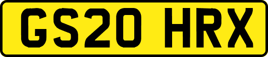 GS20HRX