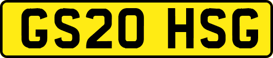 GS20HSG
